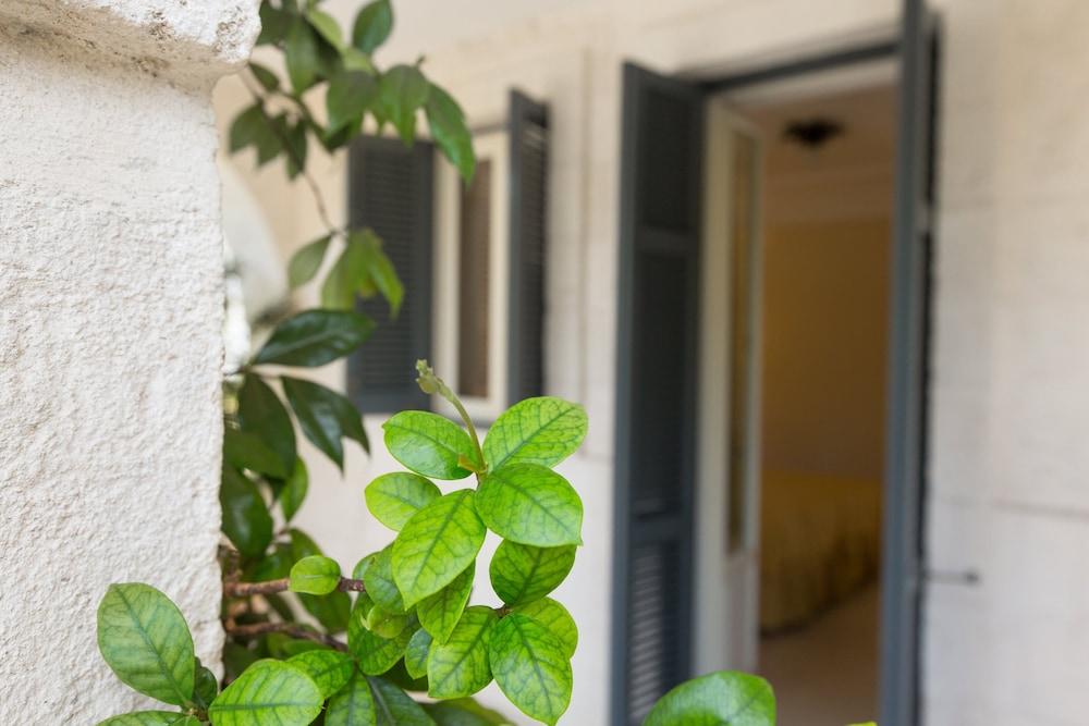Masseria San Domenico 사벨레트리 외부 사진